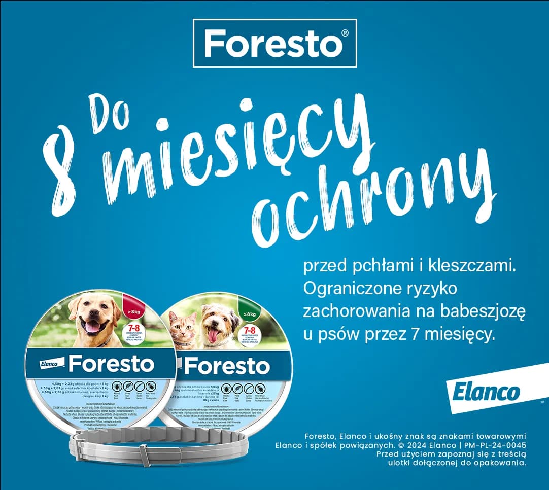 Jak działa obroża na pchły dla kota? Skuteczność i bezpieczeństwo