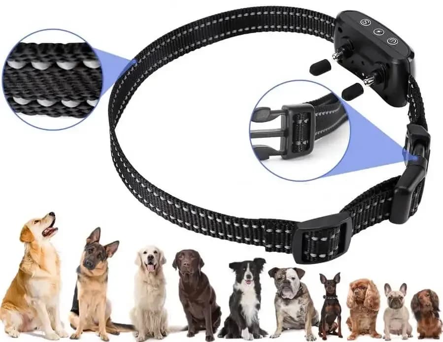 Najlepsza obroża antyszczekowa - wybierz model idealny dla swojego psa