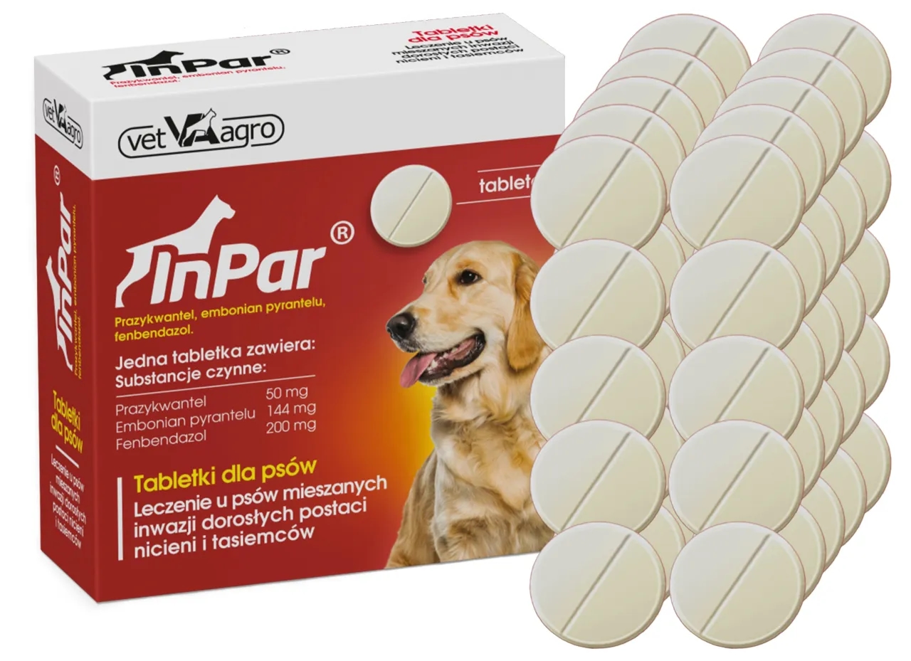 Ile kosztują tabletki na odrobaczanie psa? Ceny, które musisz znać