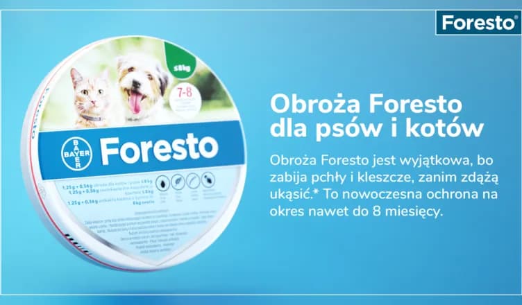 Obroża Foresto od jakiego wieku - ważne informacje dla właścicieli zwierząt