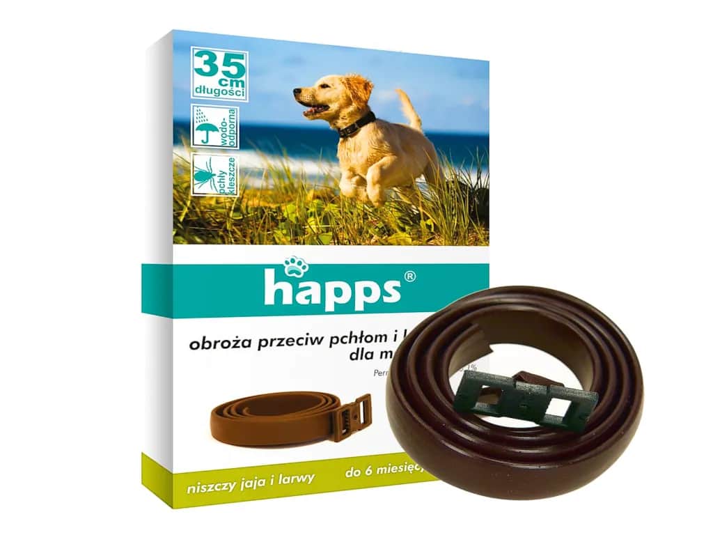 Jak działa obroża na pchły i jak skutecznie chronić swojego pupila