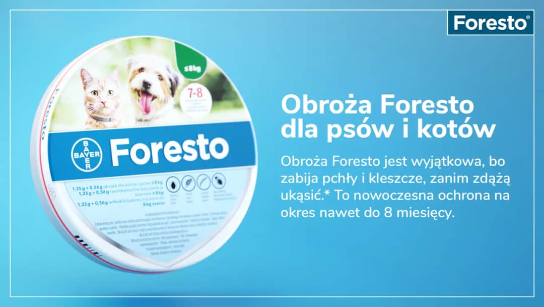Obroża Foresto ile działa – jak długo zapewnia ochronę przed kleszczami?