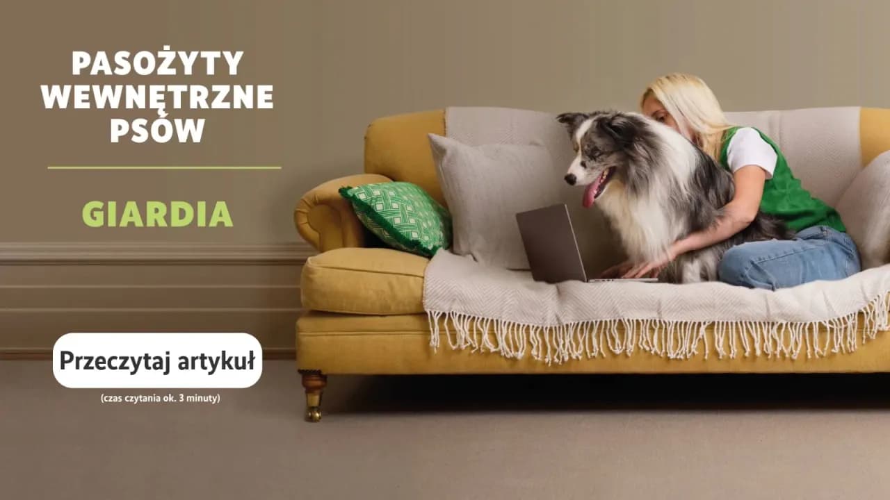 Jak często odrobaczać psa, aby uniknąć pasożytów i problemów zdrowotnych