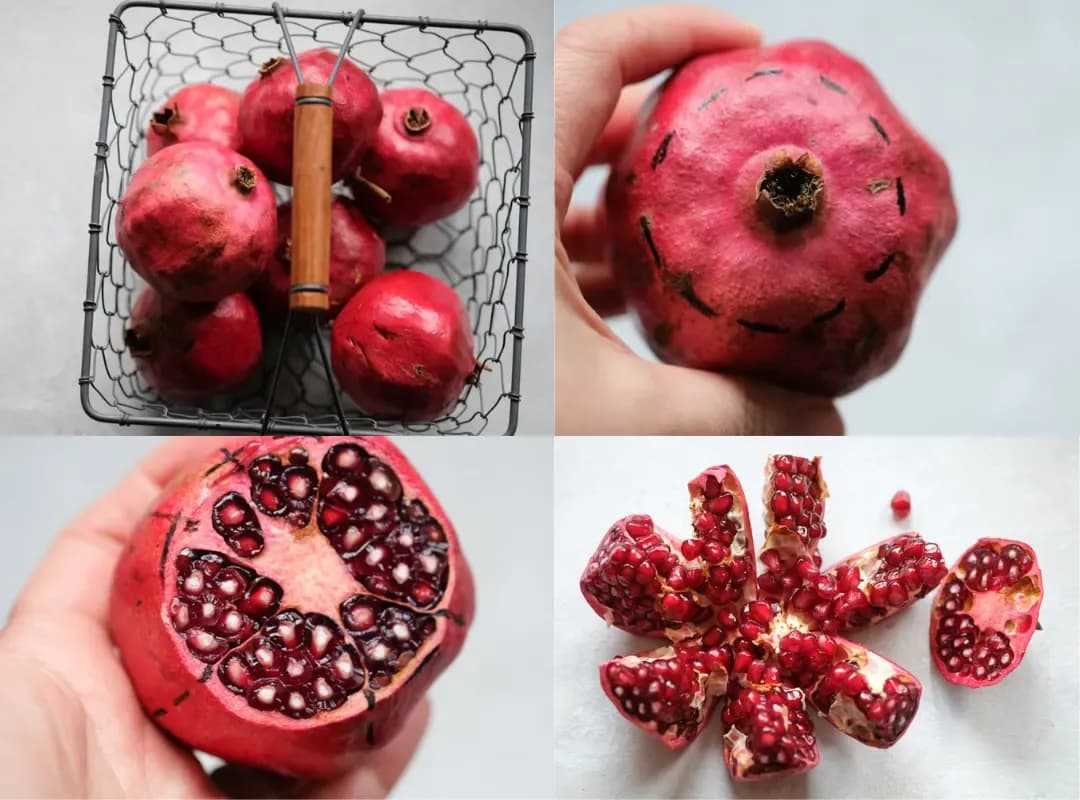 Czy pies może jeść granata? Sprawdź, jakie są zagrożenia i zasady