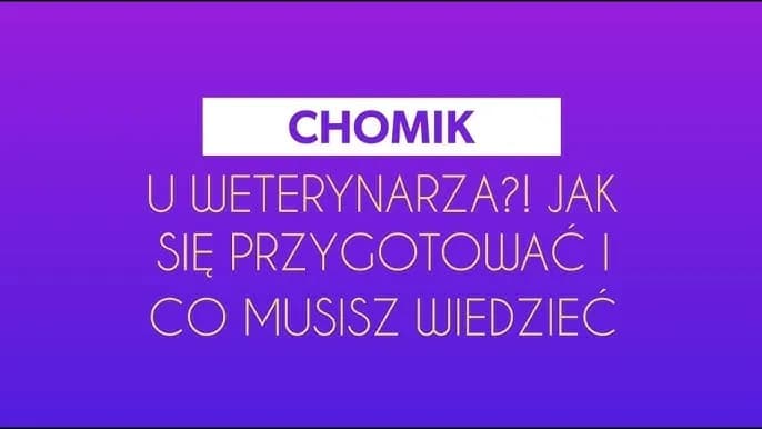 Czy z chomikiem chodzi się do weterynarza i co powinieneś wiedzieć?