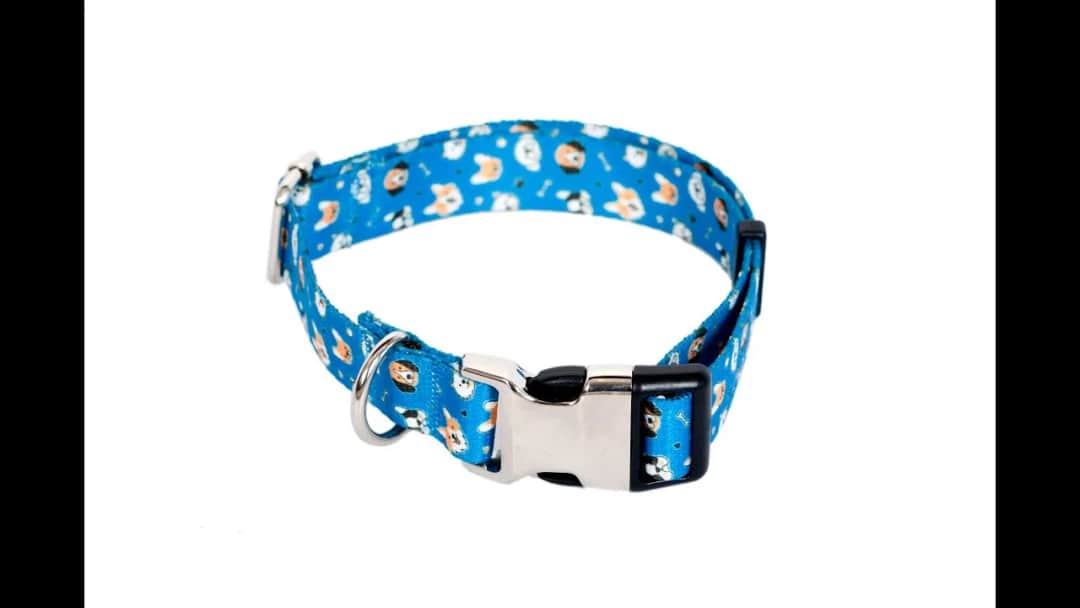 Jak uszyć obrożę dla psa - krok po kroku z praktycznymi wskazówkami