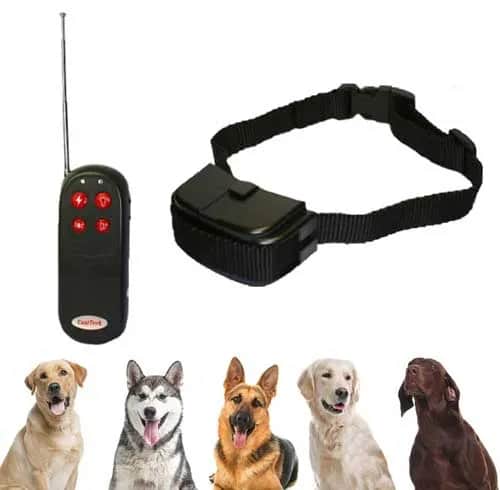 Jak używać obroży elektrycznej dla psa bezpiecznie i skutecznie