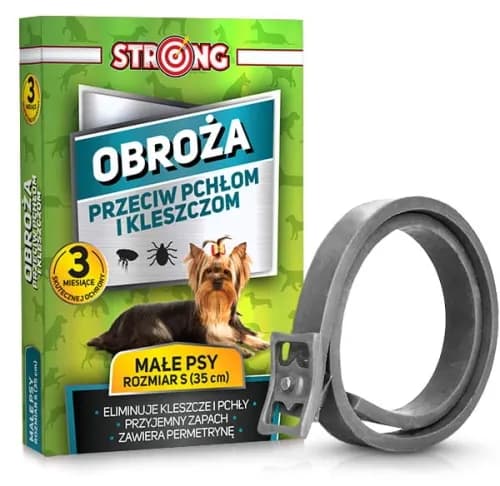 Obroża czy tabletki na kleszcze – co wybrać dla swojego psa?