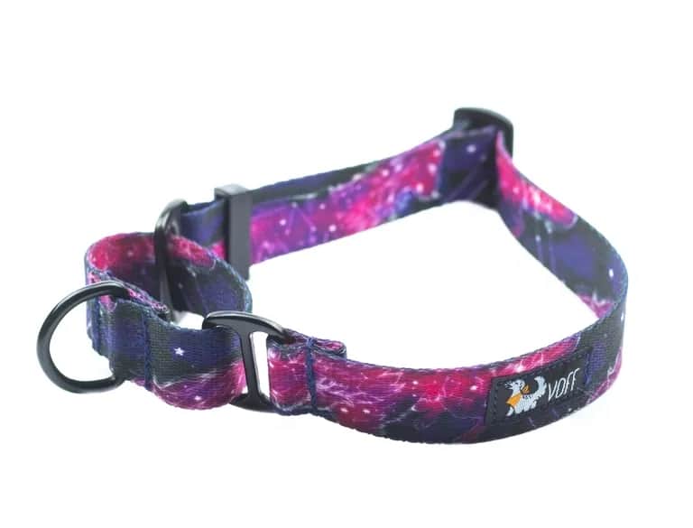 Obroża martingale dla kogo? Sprawdź, czy to idealny wybór dla twojego psa