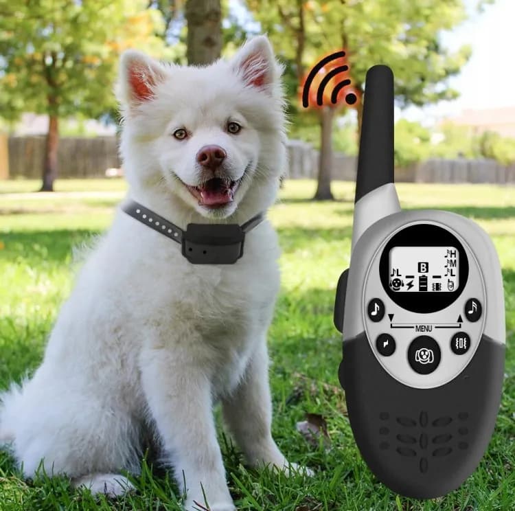 Jak działa obroża elektryczna dla psa? Poznaj jej mechanizm i skutki