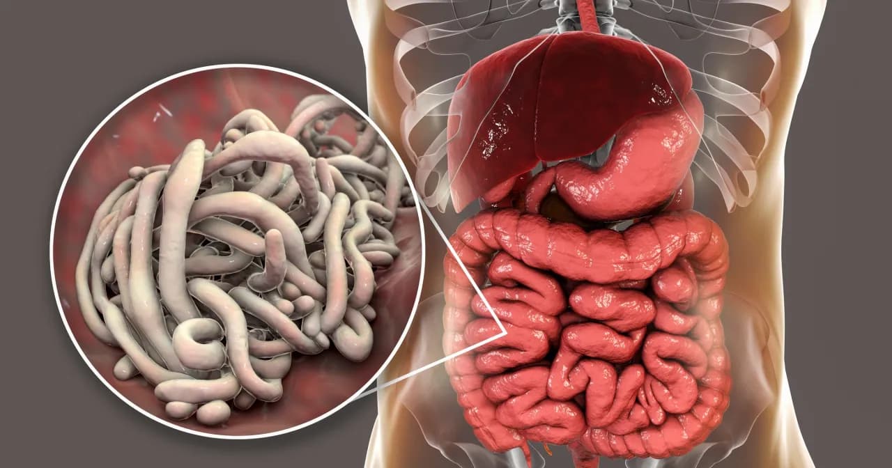 Skuteczne metody odrobaczania kur – uniknij pasożytów i chorób