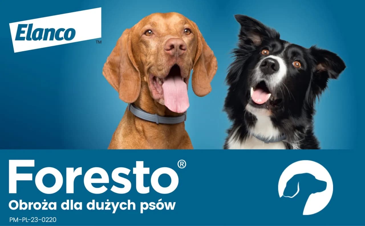 Obroża Foresto – czy można kąpać psa bez obaw o jej skuteczność?
