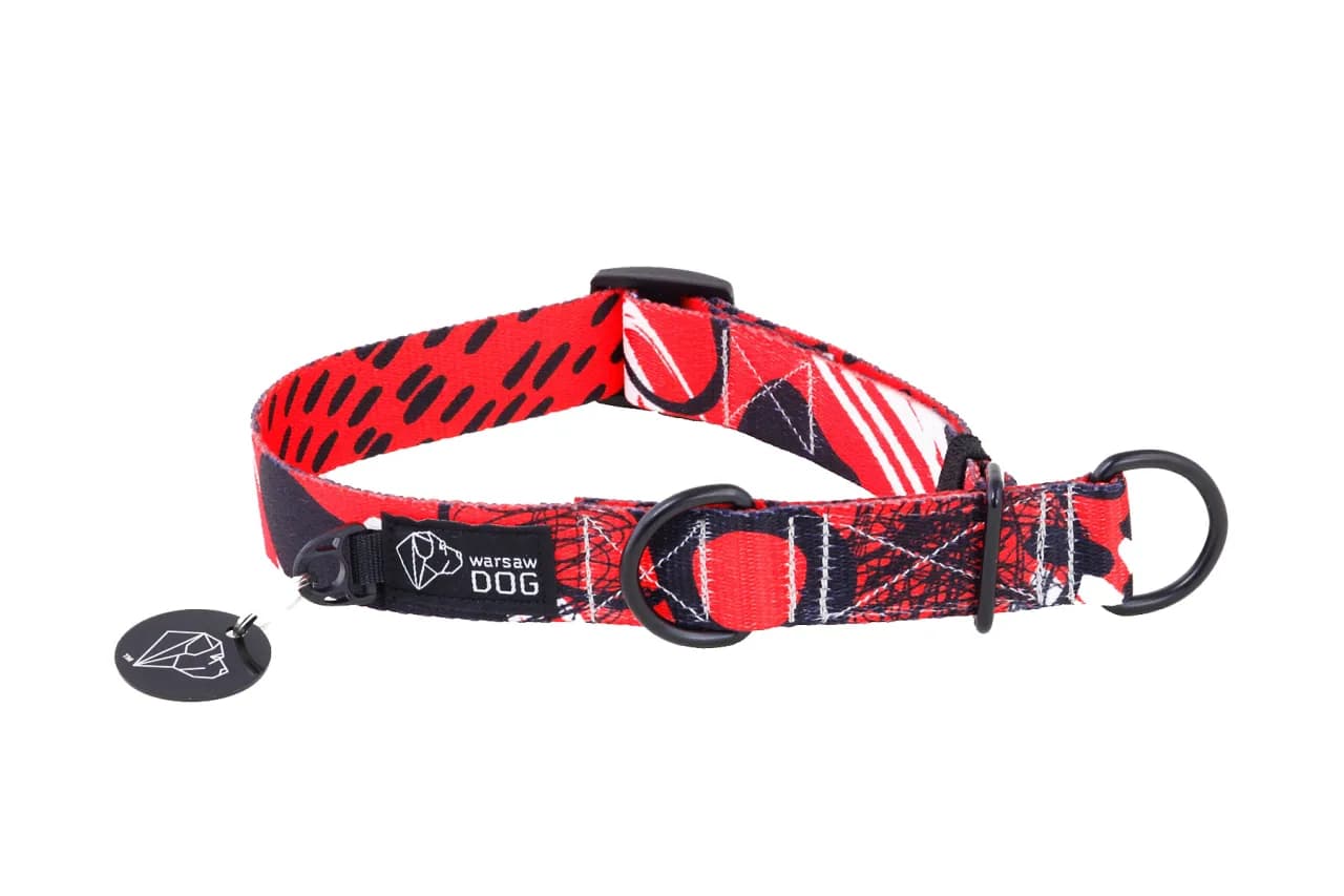 Obroża półzaciskowa dla kogo? Idealne rozwiązanie dla psów z tendencją do ucieczek