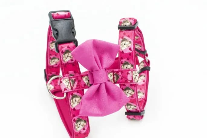 Obroża czy szelki dla Shih Tzu - co jest bezpieczniejsze i lepsze?