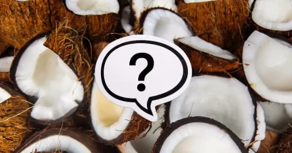 Czy pies może jeść wiórki kokosowe? Sprawdź, co musisz wiedzieć