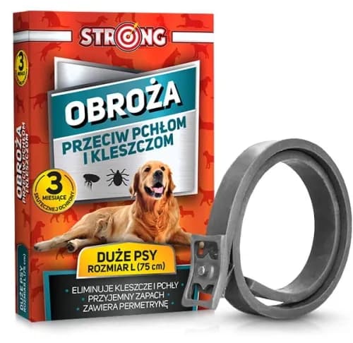 Tabletka czy obroża na kleszcze – co wybrać dla swojego psa?