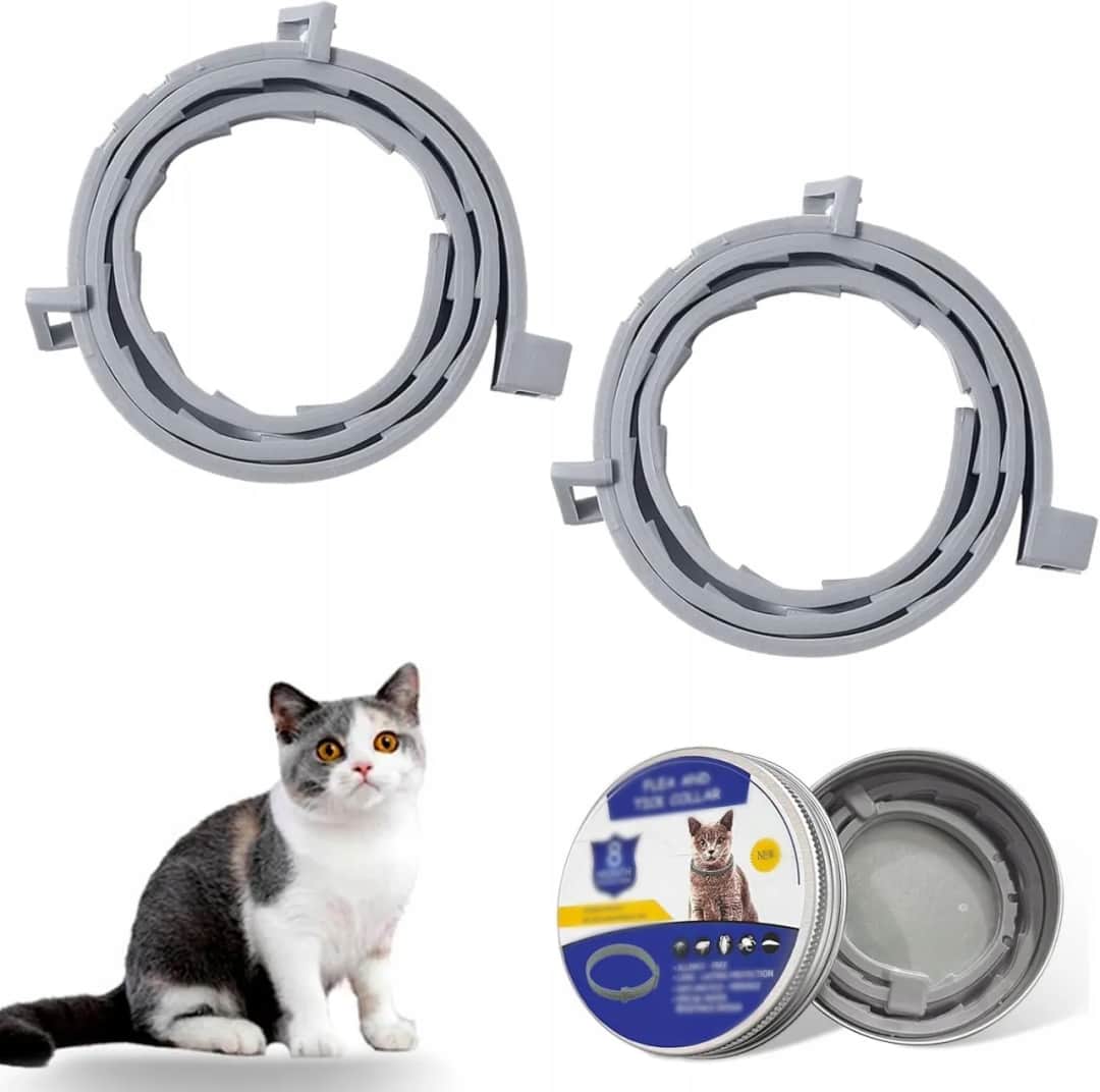 Ile kosztuje obroża przeciwpchelna dla kota? Ceny i porady zakupowe
